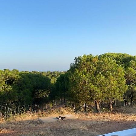 Finca Rustica Los Borrachos Аямонте Екстериор снимка