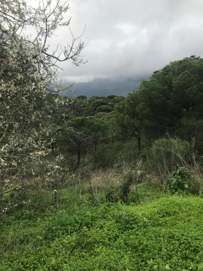 Finca Rustica Los Borrachos Аямонте Екстериор снимка