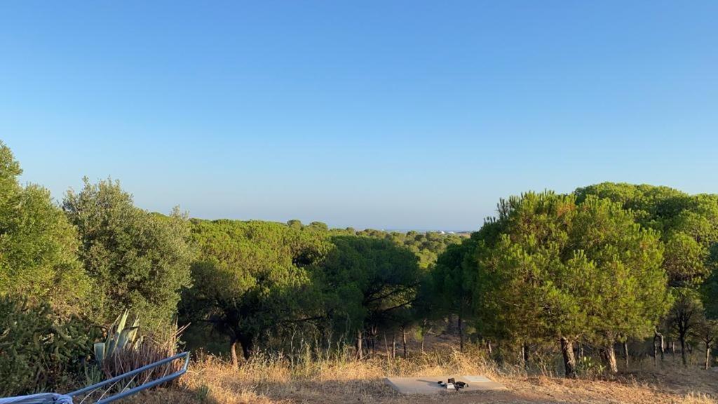 Finca Rustica Los Borrachos Аямонте Екстериор снимка
